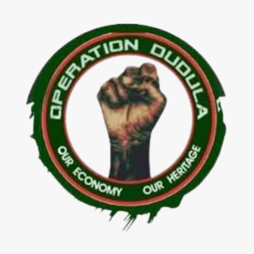 Operation Dudula Logo