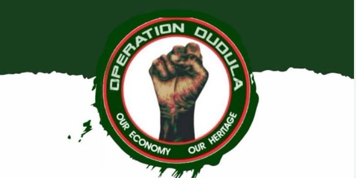 Operation Dudula Logo